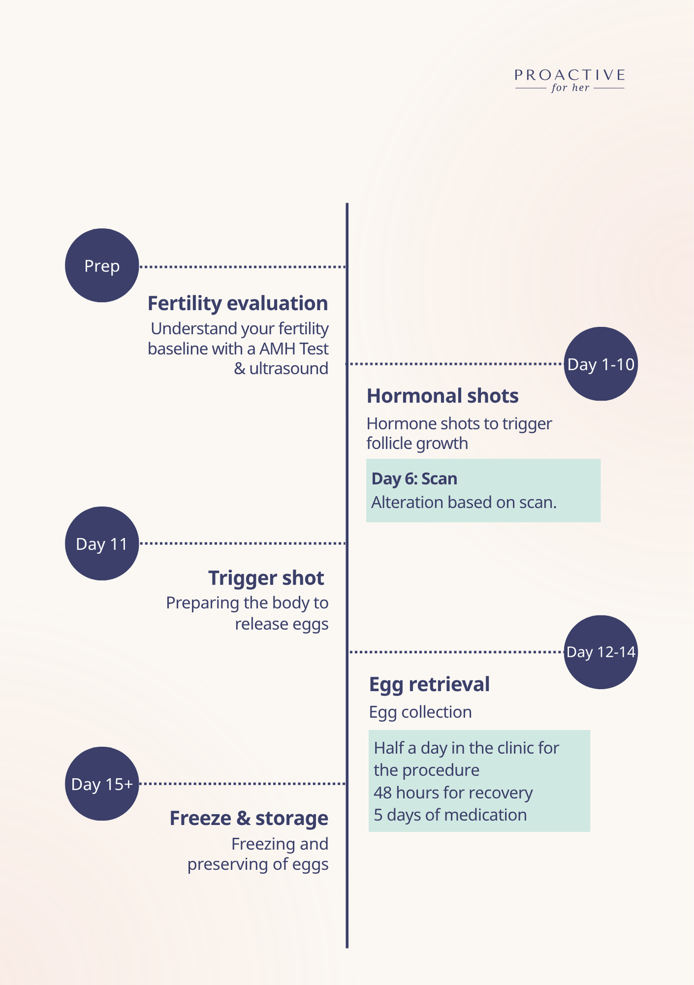 Egg freezing process